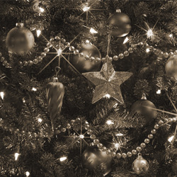 Kerstmenu